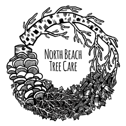 North Beach Tree Care