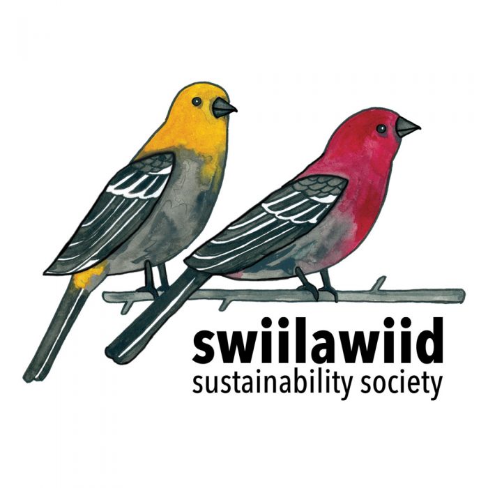 Swiilawiid Identity